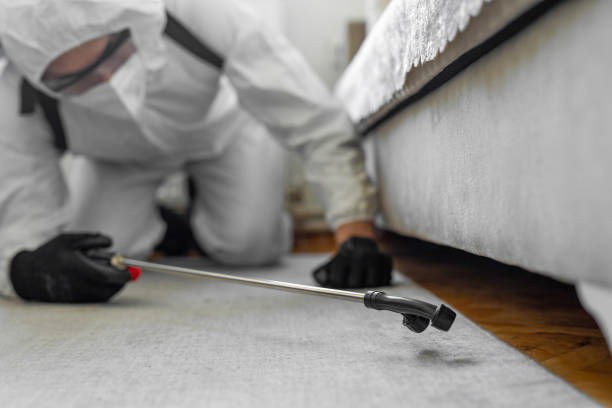 Professional Emergency Pest Control technician working in Huntington Woods, MI