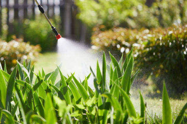 24/7 Emergency Emergency Pest Control experts in Huntington Woods, MI