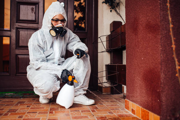 Reliable Emergency Pest Control contractor in Huntington Woods, MI by Nex Pest Control