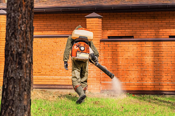 Trusted Bed Bug Control service in Huntington Woods, MI - Nex Pest Control